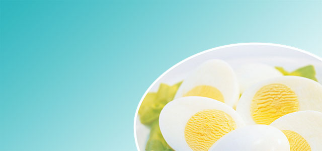 모유 다음으로 계란이 단백질 조성 가치 높아.jpg